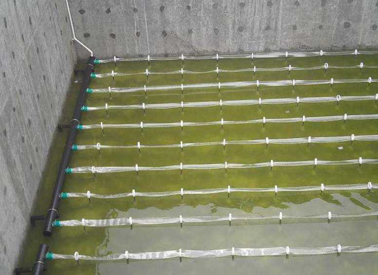 1596702655361466.png 1596702655361466.png