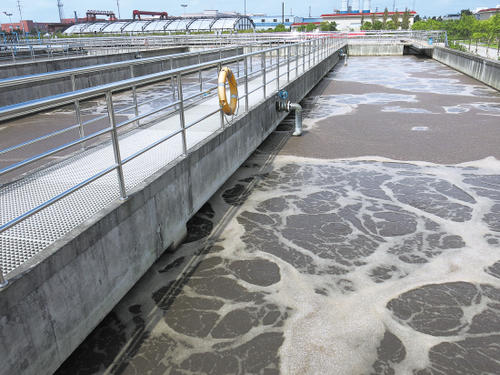 1596088405724698.jpg 1.jpg